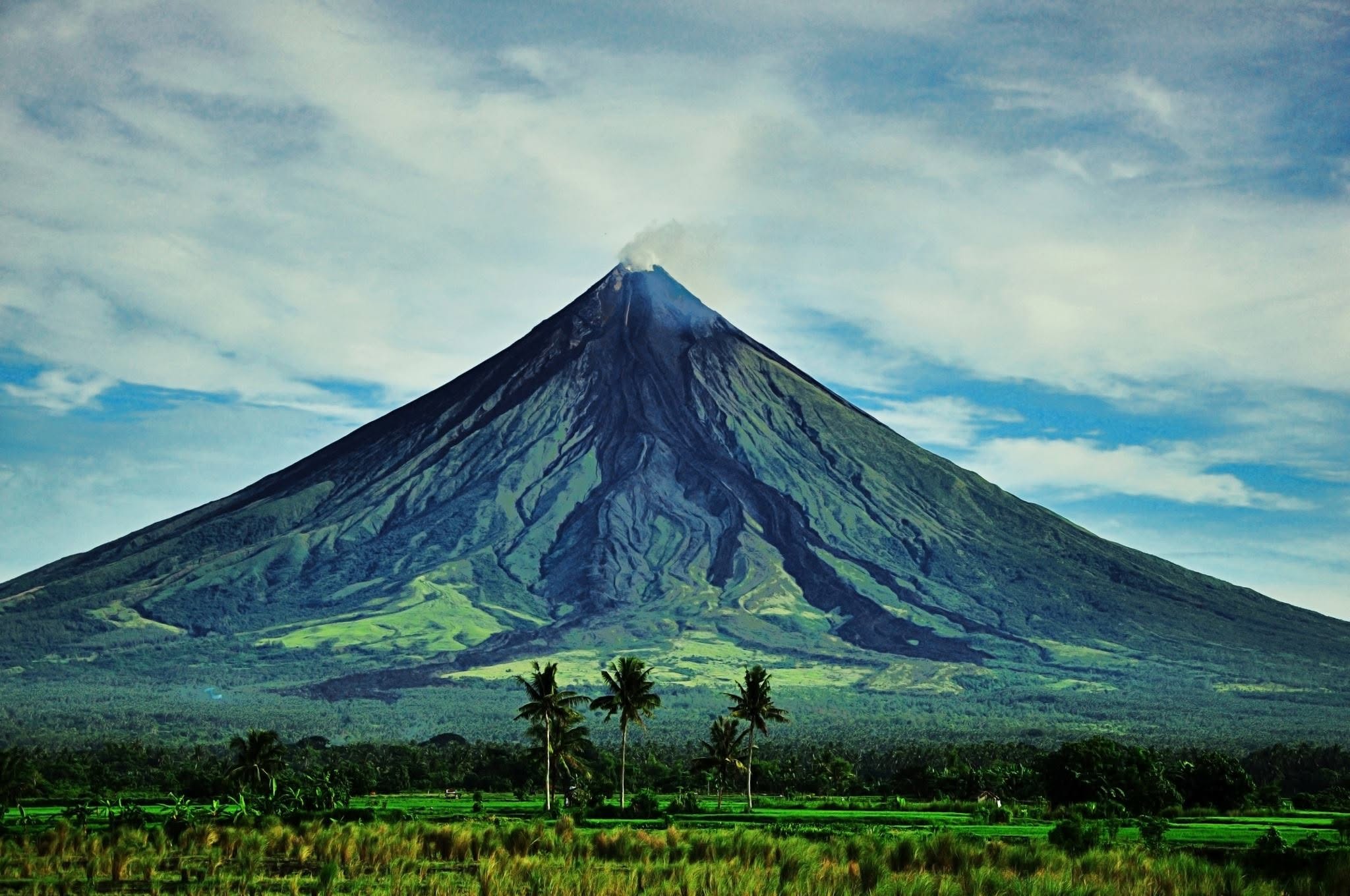 Mayon Volcano rising over rice paddies and coconut palms